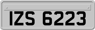 IZS6223