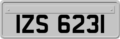 IZS6231