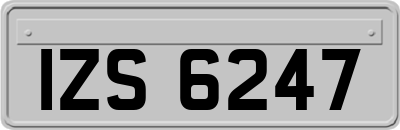 IZS6247