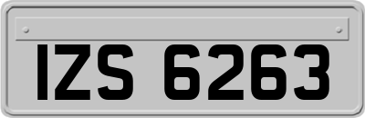 IZS6263