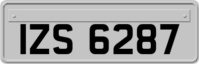IZS6287