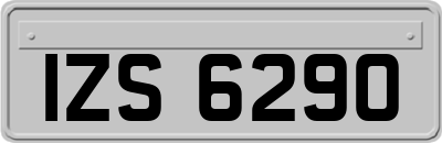 IZS6290