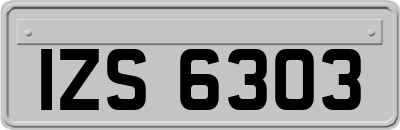 IZS6303