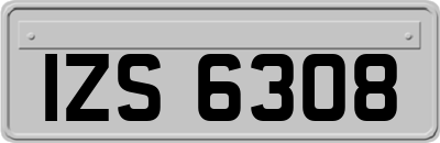IZS6308