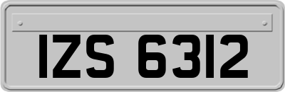 IZS6312