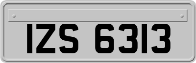 IZS6313