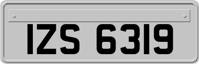 IZS6319