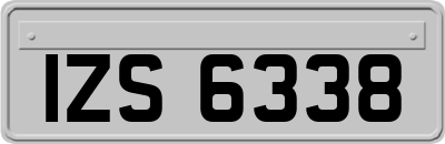 IZS6338