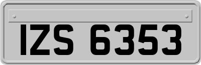 IZS6353