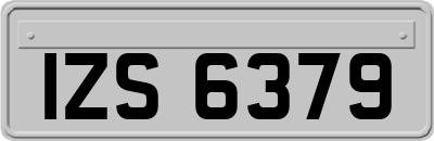 IZS6379
