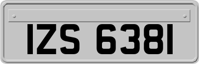 IZS6381