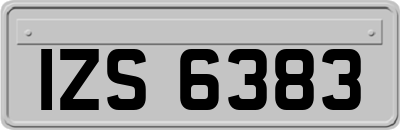IZS6383