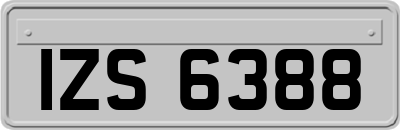 IZS6388