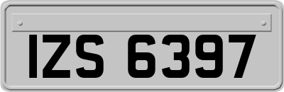 IZS6397