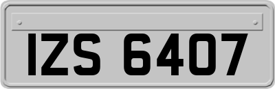 IZS6407