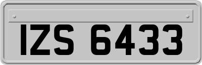 IZS6433