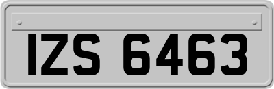 IZS6463