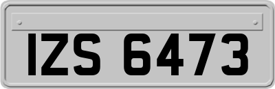 IZS6473
