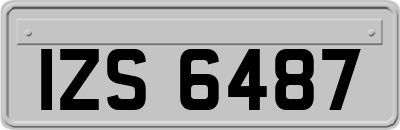 IZS6487