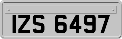 IZS6497