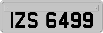 IZS6499