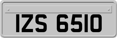 IZS6510