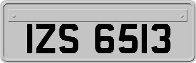 IZS6513