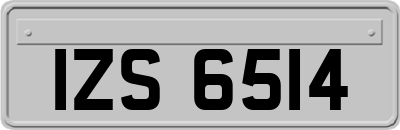 IZS6514