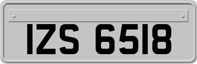 IZS6518