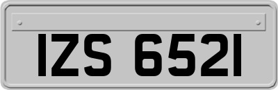 IZS6521