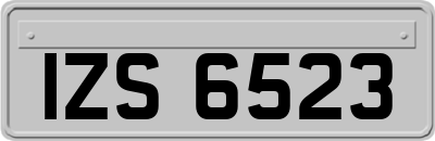 IZS6523