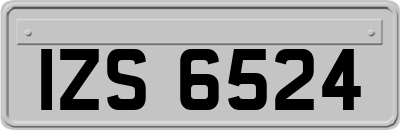 IZS6524