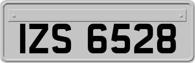 IZS6528