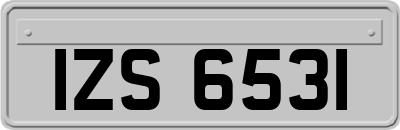 IZS6531