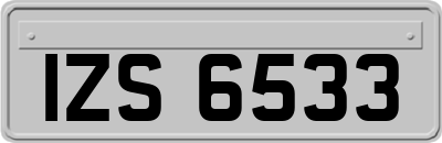 IZS6533