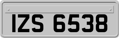 IZS6538