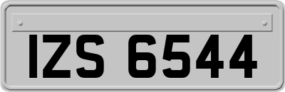 IZS6544