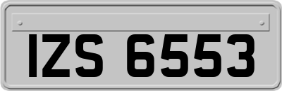 IZS6553