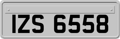IZS6558