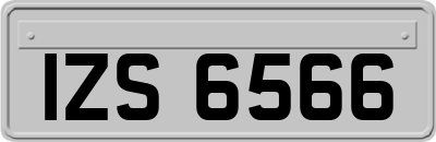 IZS6566