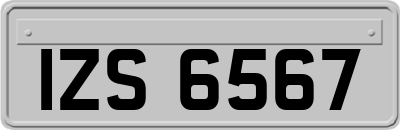 IZS6567