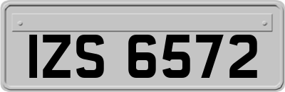 IZS6572