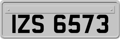 IZS6573