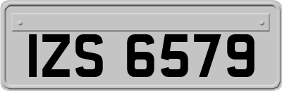 IZS6579