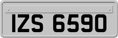 IZS6590