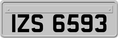 IZS6593