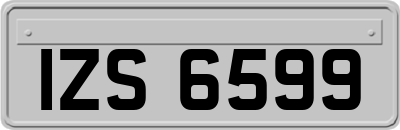 IZS6599