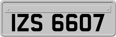 IZS6607