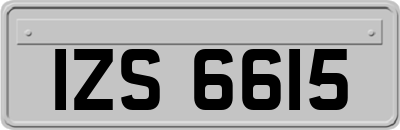 IZS6615