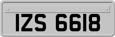 IZS6618